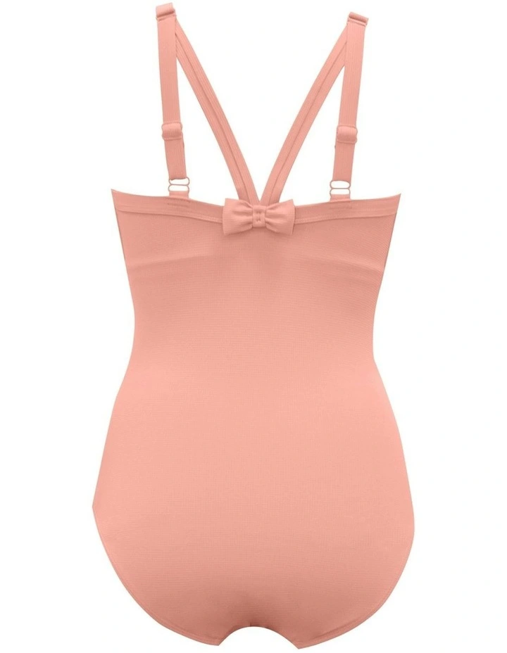 Vivien Full Bust V Neck Plunge Swimsuit in Pink Blush image 6