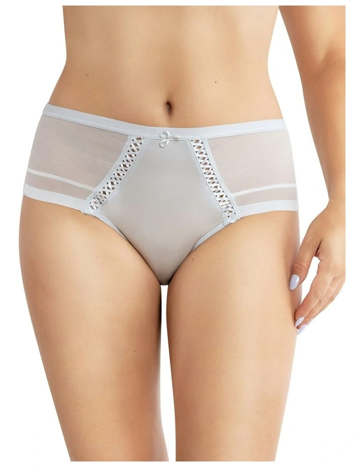 Shea Full Coverage High Waist Brief in Silver image 1