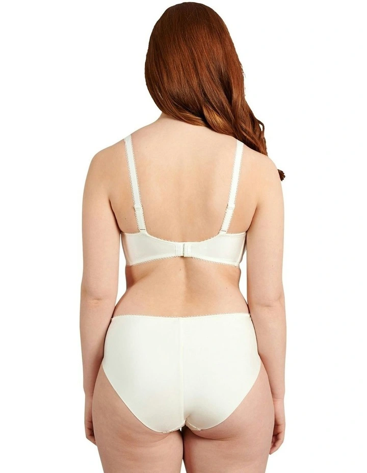 Ariane Classic Lace & Microfiber Brief in Ivory image 4