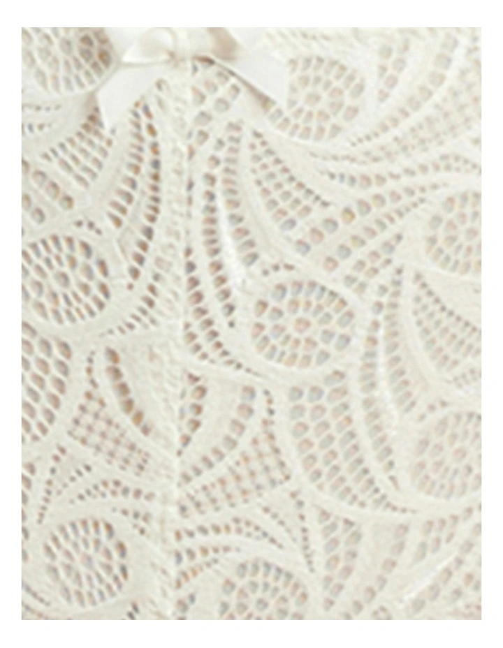 Ariane Classic Lace & Microfiber Brief in Ivory image 7