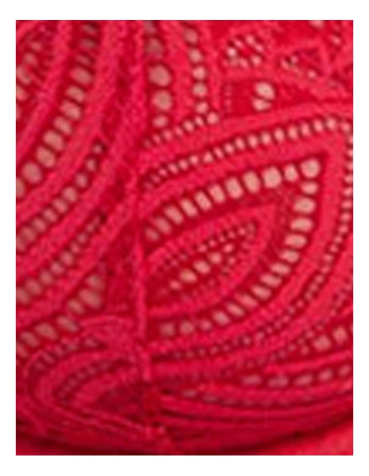 Lisa High Cut Brazilian Lace Brief in Crimson image 6