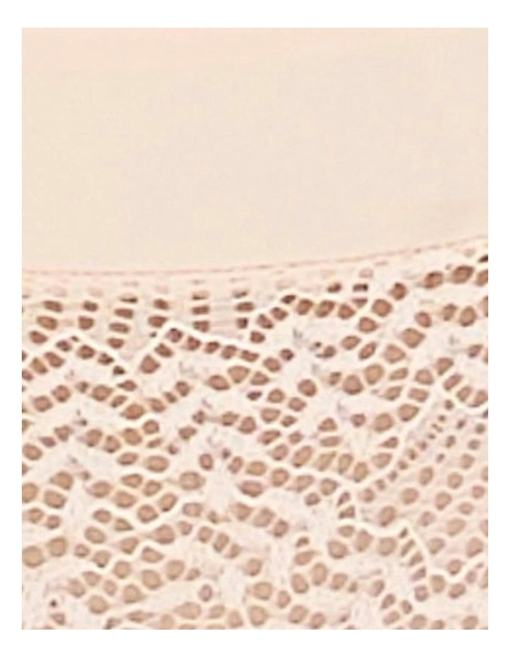 Fidele Shorty Style Microfibre & Lace Brief in Pearl Blush image 6