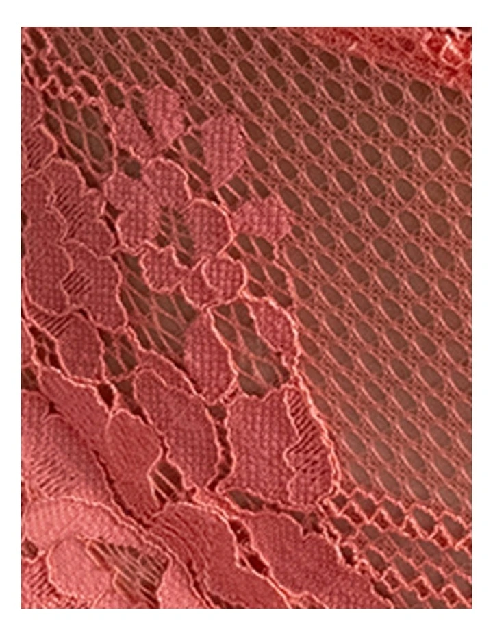 Nina High Leg Brazilian Cut Lace Brief in Grapefruit image 5