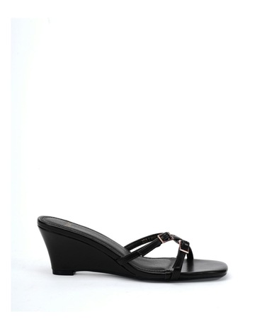 Black colour