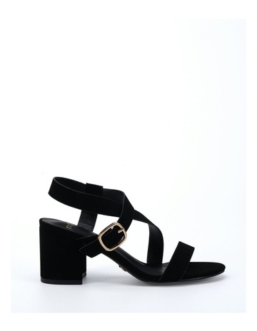 Black colour