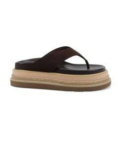 Suede Spoil Thongs in Espresso