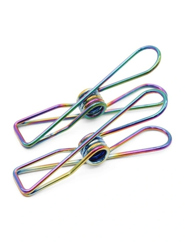 Large Stainless Steel Pegs 40 Pack in Rainbow image 1