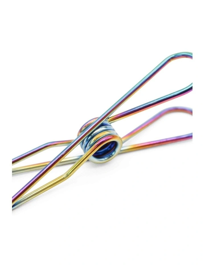 Large Stainless Steel Pegs 40 Pack in Rainbow image 2