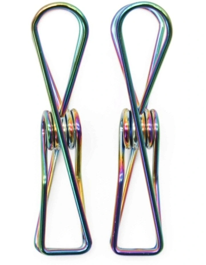 Large Stainless Steel Pegs 40 Pack in Rainbow image 3