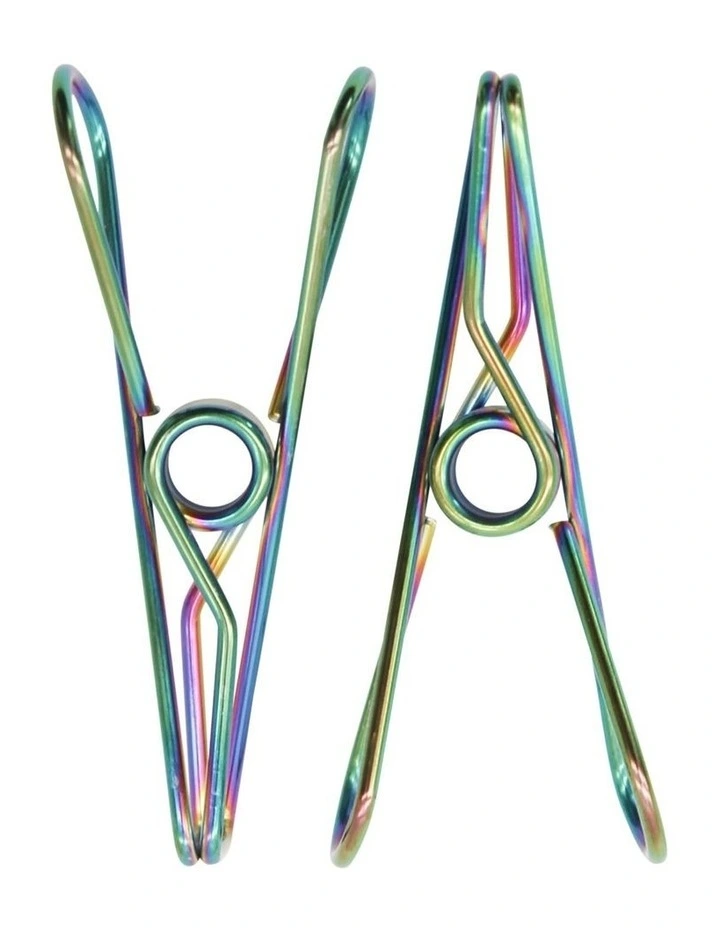 Large Stainless Steel Pegs 40 Pack in Rainbow image 4