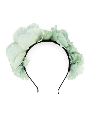 Mint colour