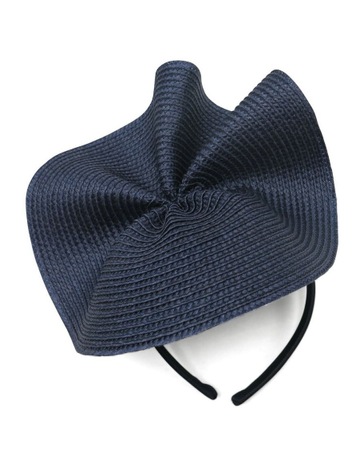 Navy colour
