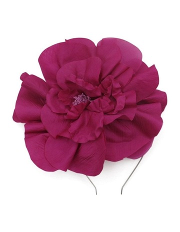 Hot Pink colour