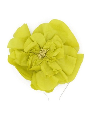 Lime colour
