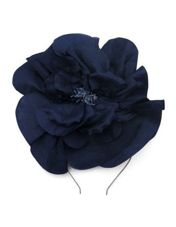 Navy colour