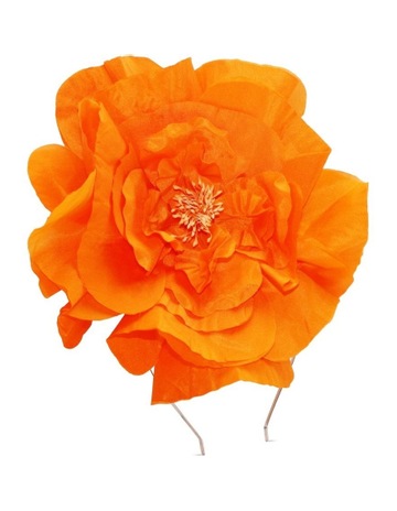 Orange colour