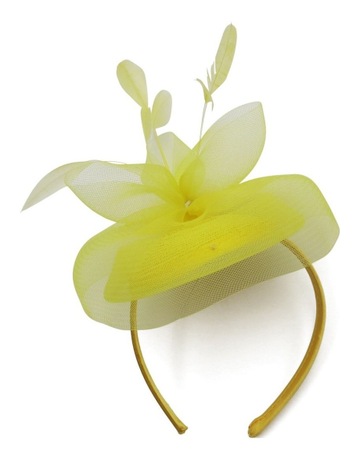Yellow colour