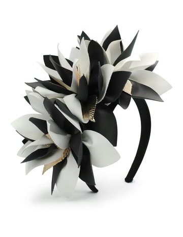 Black,White colour