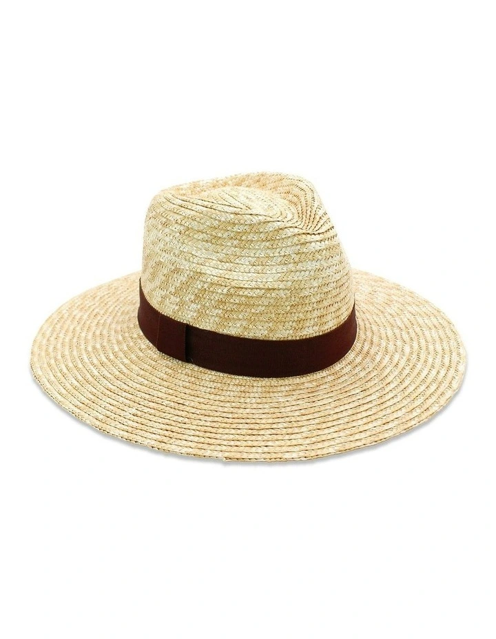 Dion Fedora Hat in Brown image 1