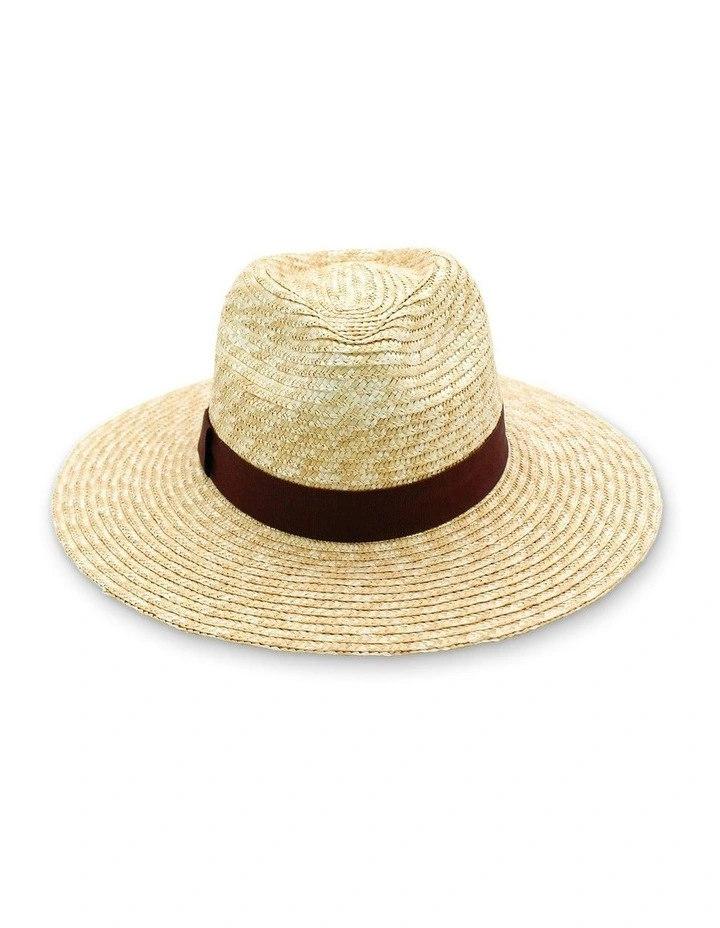 Dion Fedora Hat in Brown image 2