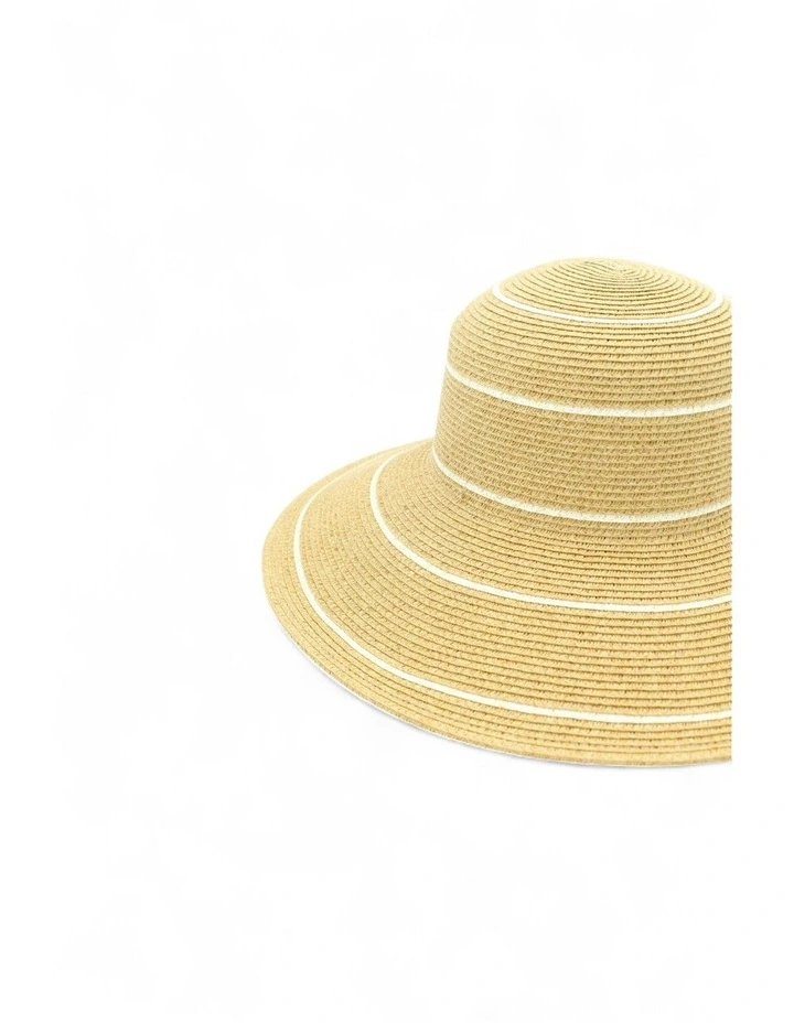 Amara Hat in Natural image 2