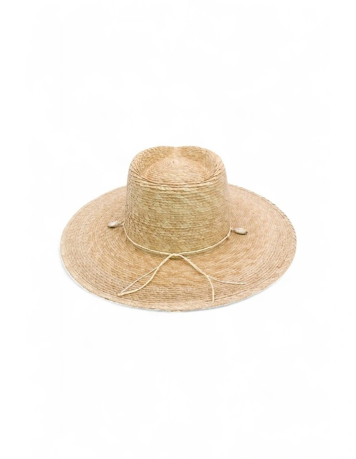 Andrina Fedora in Natural image 7