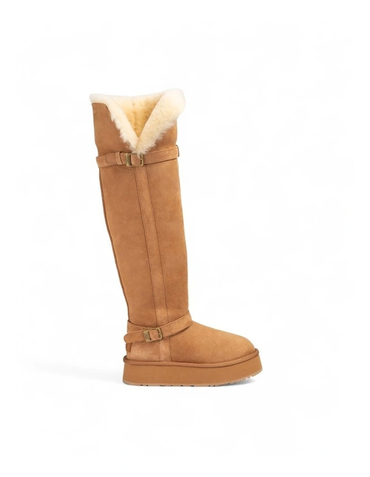 Classic Platform Buckle Tall Boots (Over The Knee) in Chestnut image 2