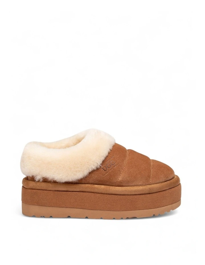 Platform Cactus Slipper (5cm) in Chestnut image 3