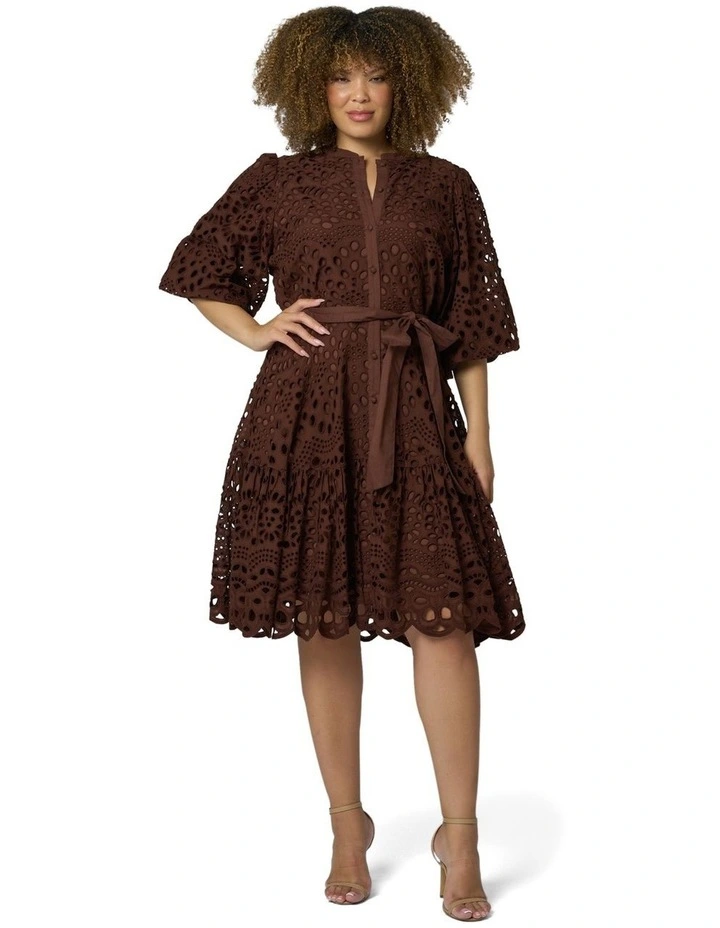 Claudia Broderie Dress in Brown image 5