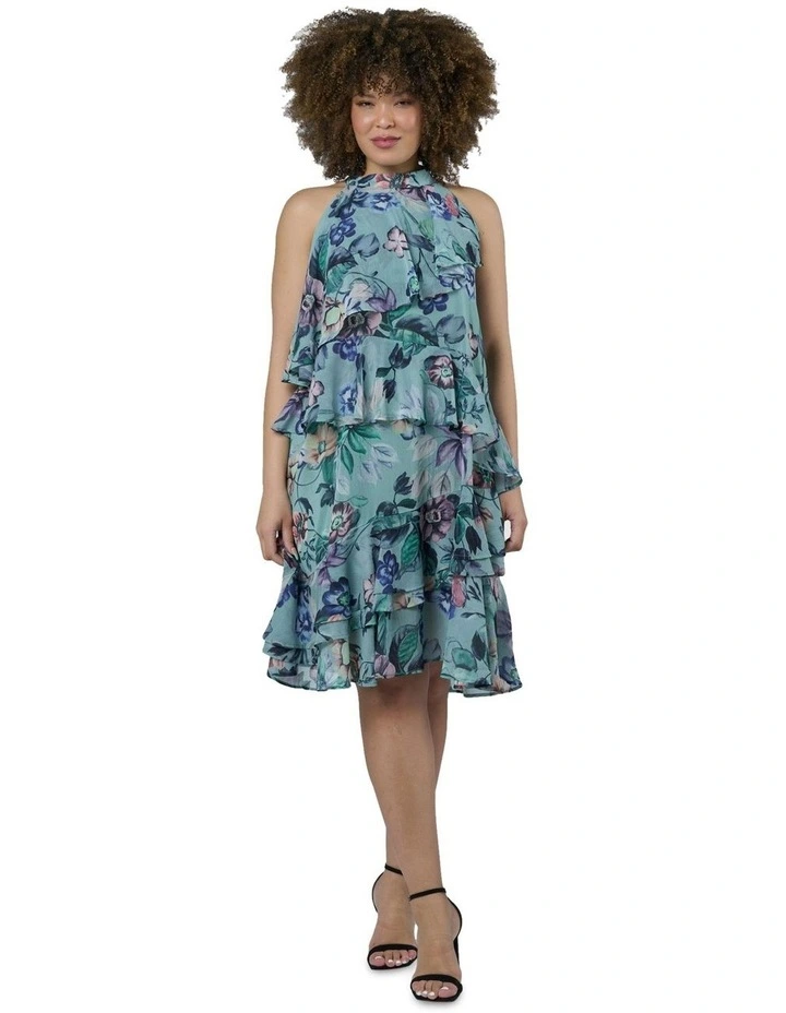 Raptures Kiss Dress in Multi image 4
