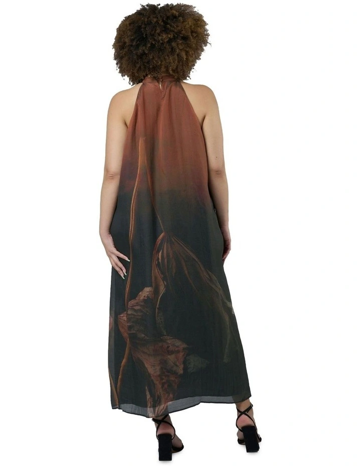 Aphrodisiac Maxi Dress in Multi image 2