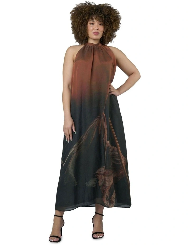 Aphrodisiac Maxi Dress in Multi image 4