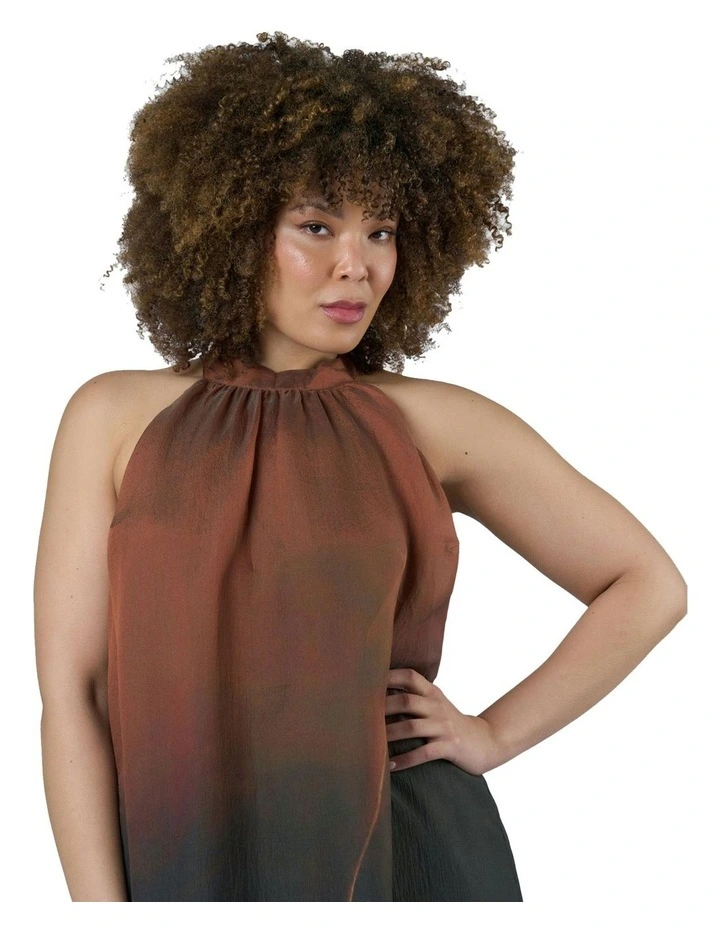 Aphrodisiac Maxi Dress in Multi image 6