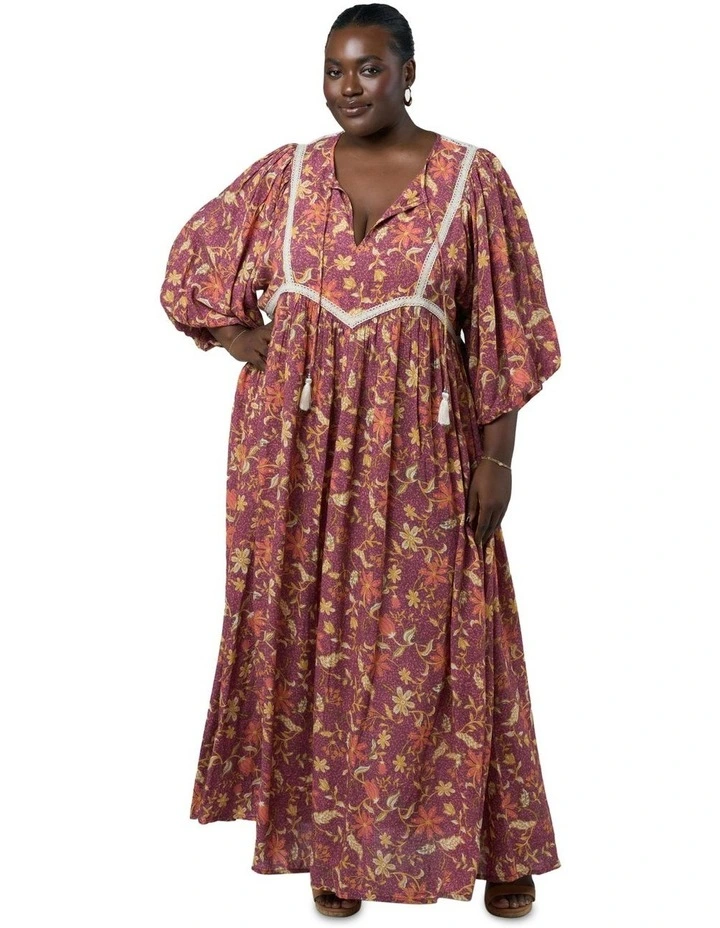 Spirit of Gaia Maxi Dress in Multi image 4