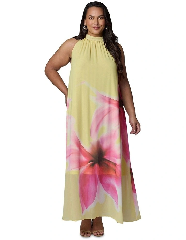 Savage Heat Maxi Dress in Multi image 4