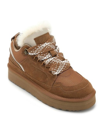Chestnut M colour
