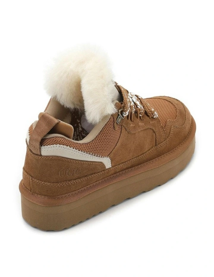 Urban Chic Sheepskin Wool Lace-Up Sneakers in Brown image 6
