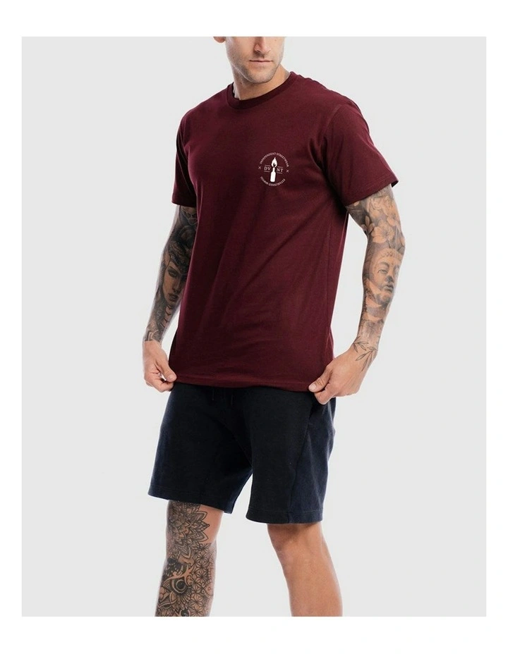 Emblem 2.0 Tee in Burdundy image 3
