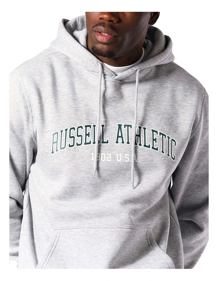 Big Arch Hoodie in Grey image 4