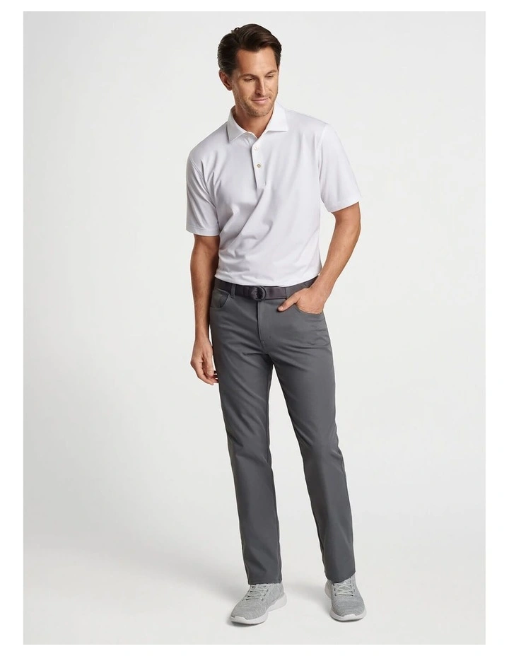 Performance 5 Pocket Golf Pants in Gale Grey image 4
