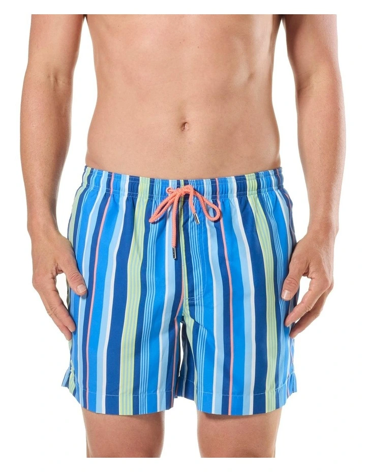 Tropical Stripes Swim Shorts in Blue image 1