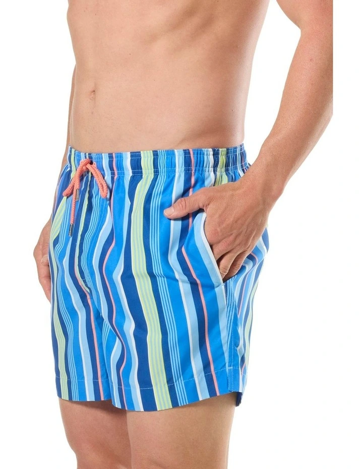 Tropical Stripes Swim Shorts in Blue image 2