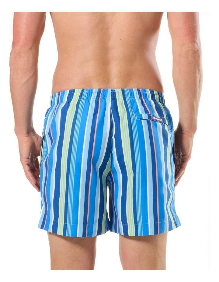 Tropical Stripes Swim Shorts in Blue image 3