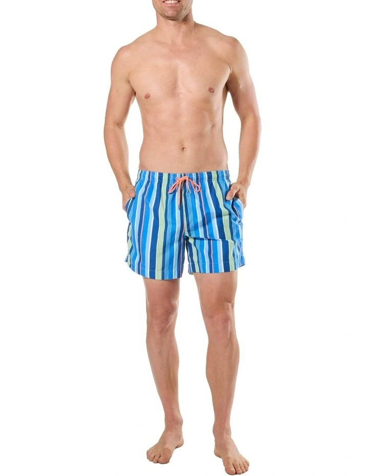 Tropical Stripes Swim Shorts in Blue image 4