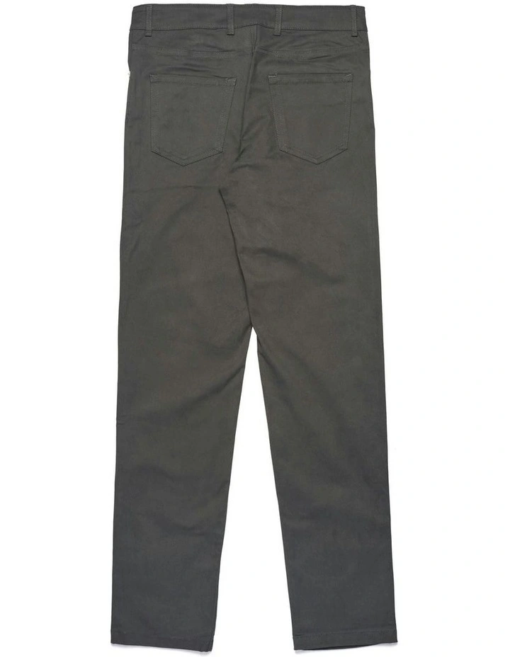 Robe di Jorman Peached Gabardine Pants in Grey image 2