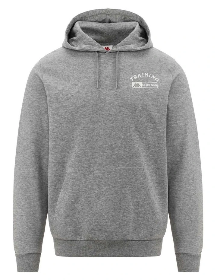 Authentic Shala Fleece Hoodie in Grey image 1