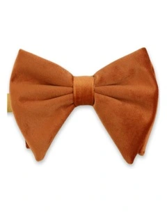 Floppy Velvet Bow Tie in Rust