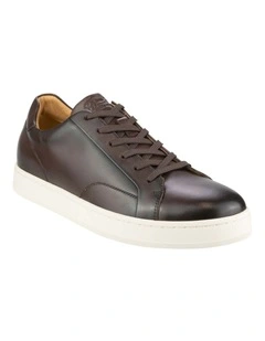Monopoli Lace To Toe Sneaker in Dark Brown