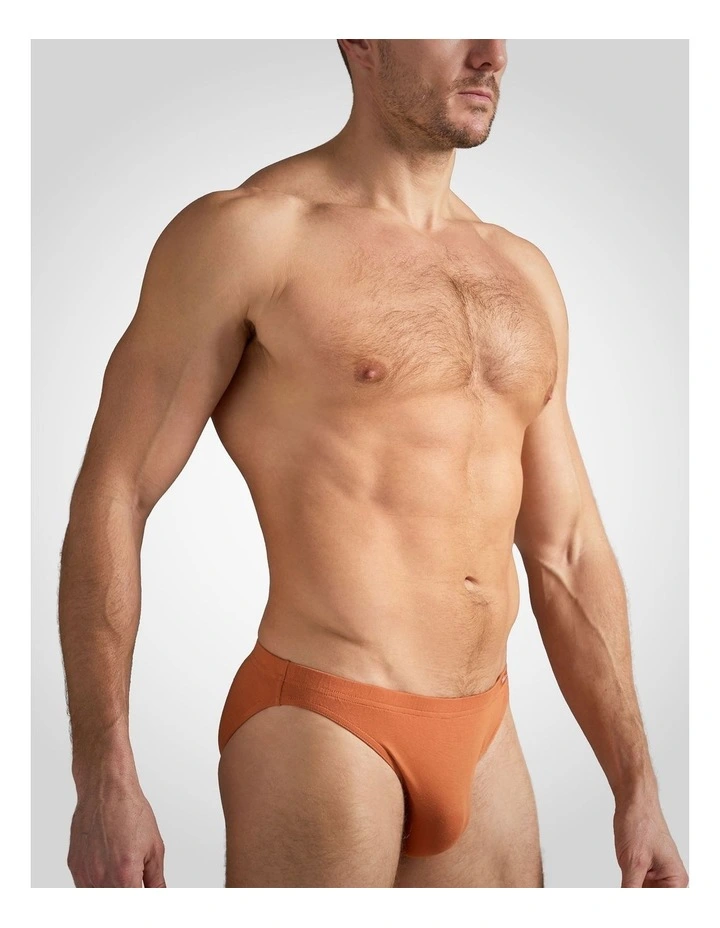 Body Bamboo Bikini Brief in Bronze image 3