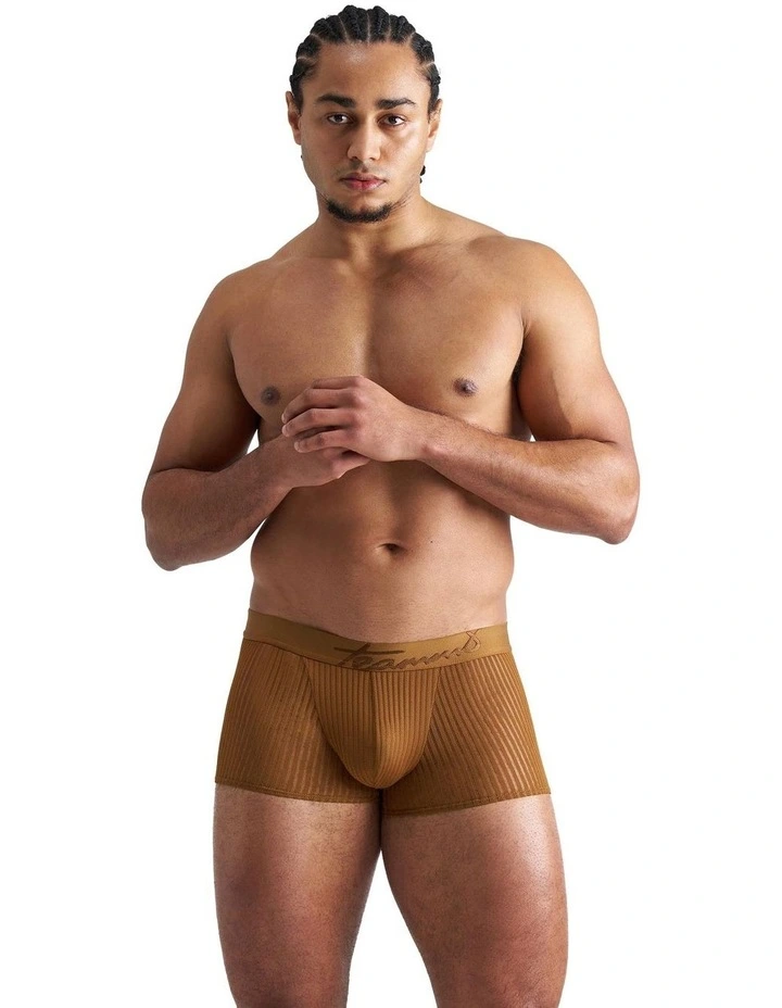 Casanova Trunk in Brass image 1